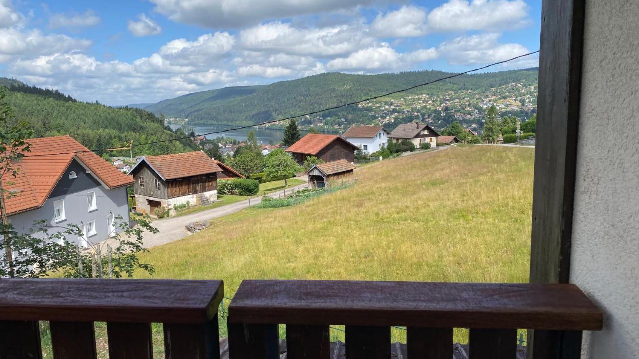 Appartement Le Grand Duc Gérardmer Dış mekan fotoğraf